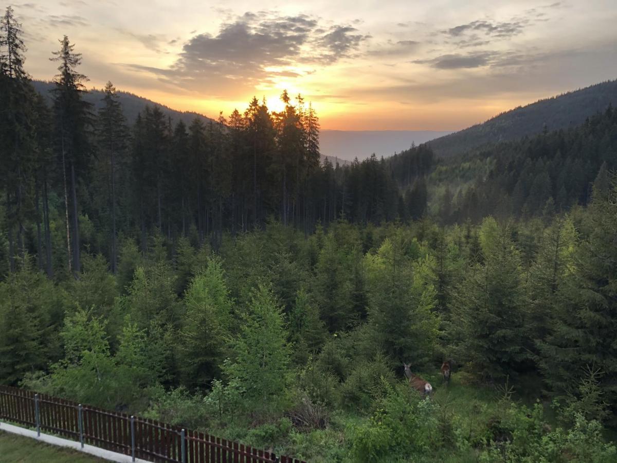 Casaafina Appartement Harghita-Băi Buitenkant foto