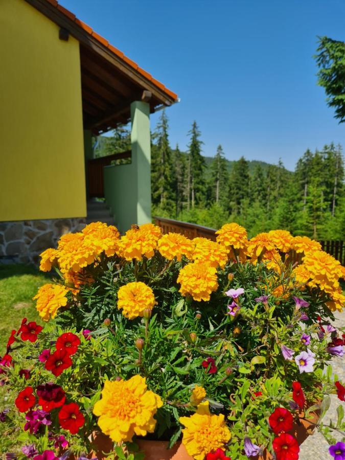 Casaafina Appartement Harghita-Băi Buitenkant foto