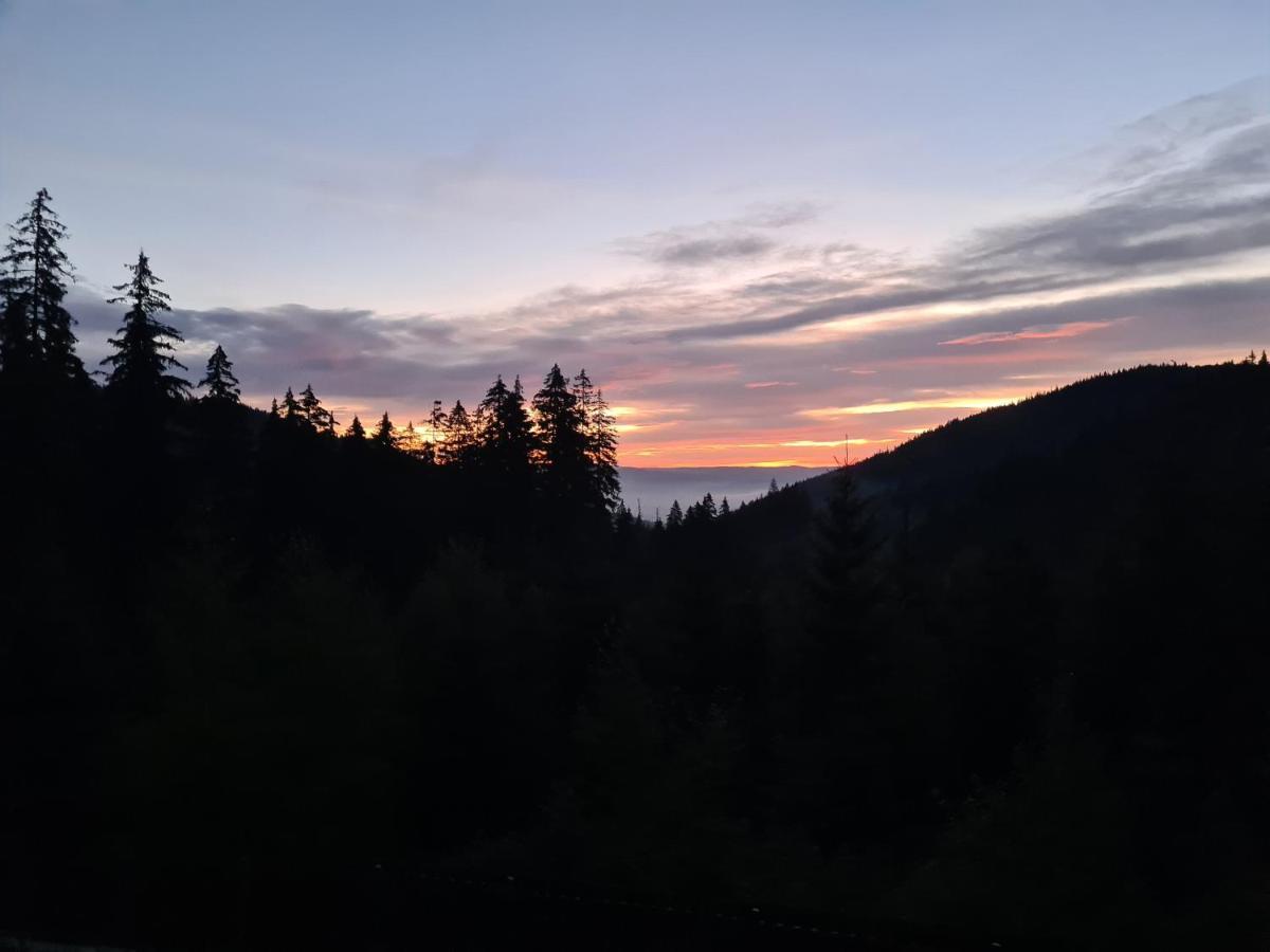 Casaafina Appartement Harghita-Băi Buitenkant foto