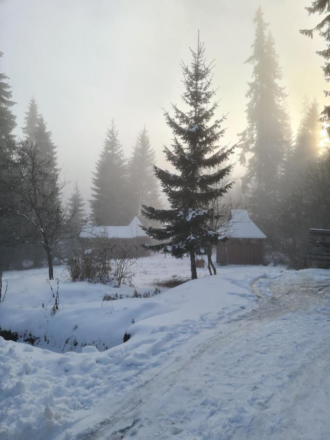 Casaafina Appartement Harghita-Băi Buitenkant foto