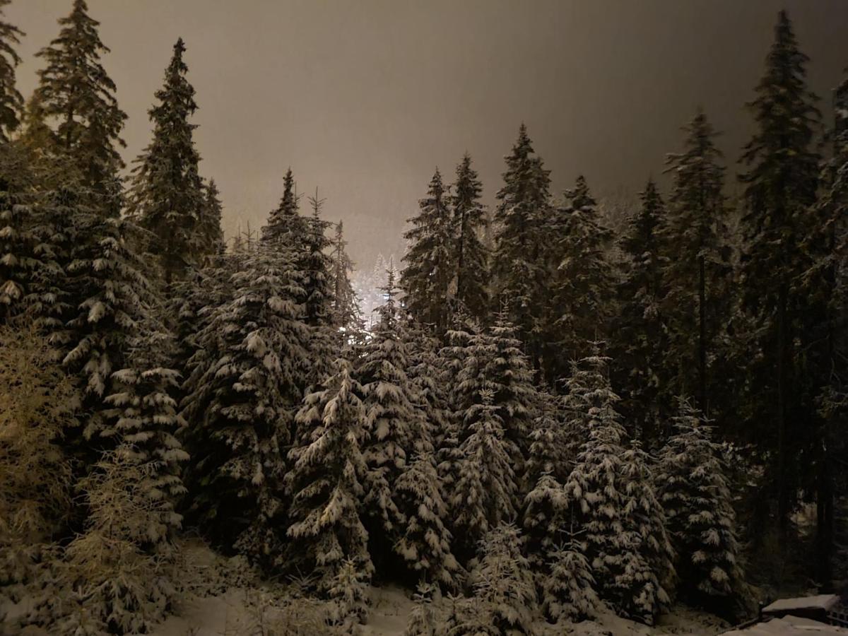 Casaafina Appartement Harghita-Băi Buitenkant foto