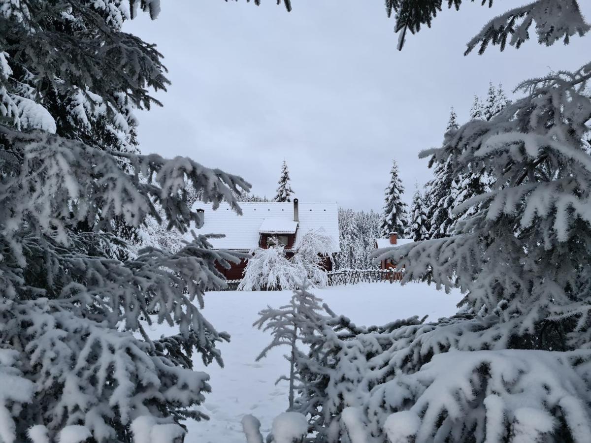 Casaafina Appartement Harghita-Băi Buitenkant foto